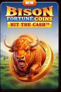 Bison Fortune Coins